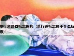 单行道路口标志图片（单行道标志属于什么标志）