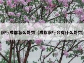 限行成都怎么处罚（成都限行会有什么处罚）