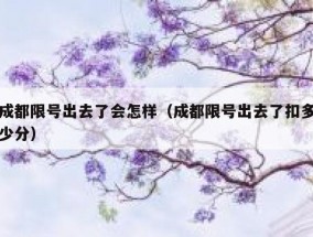 成都限号出去了会怎样（成都限号出去了扣多少分）
