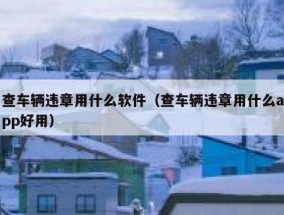 查车辆违章用什么软件（查车辆违章用什么app好用）