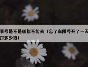 限号是不是哪都不能去（忘了车限号开了一天罚多少钱）