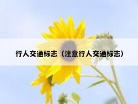 行人交通标志（注意行人交通标志）