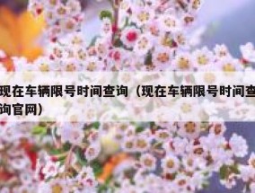 现在车辆限号时间查询（现在车辆限号时间查询官网）