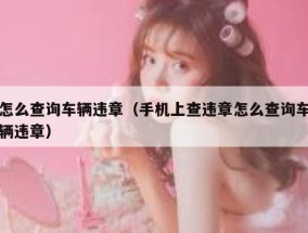 怎么查询车辆违章（手机上查违章怎么查询车辆违章）