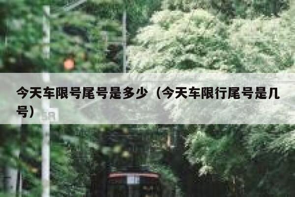 今天车限号尾号是多少(今天车限行尾号是几号) 第1张 今天车限号尾号是多少(今天车限行尾号是几号) 第1张