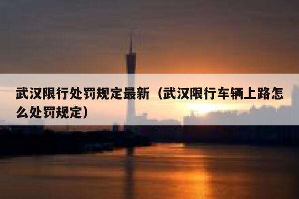 武汉限行处罚规定最新(武汉限行车辆上路怎么处罚规定) 第1张 武汉限行处罚规定最新(武汉限行车辆上路怎么处罚规定) 第1张