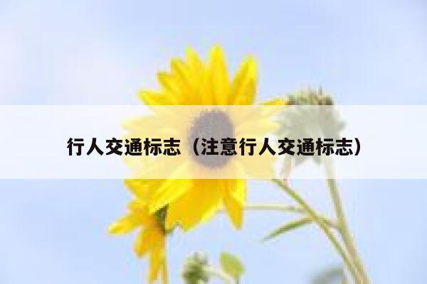 行人交通标志(注意行人交通标志) 第1张 行人交通标志(注意行人交通标志) 第1张