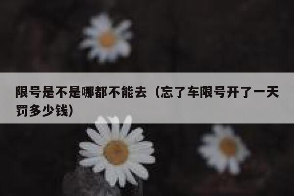 限号是不是哪都不能去(忘了车限号开了一天罚多少钱) 第1张 限号是不是哪都不能去(忘了车限号开了一天罚多少钱) 第1张