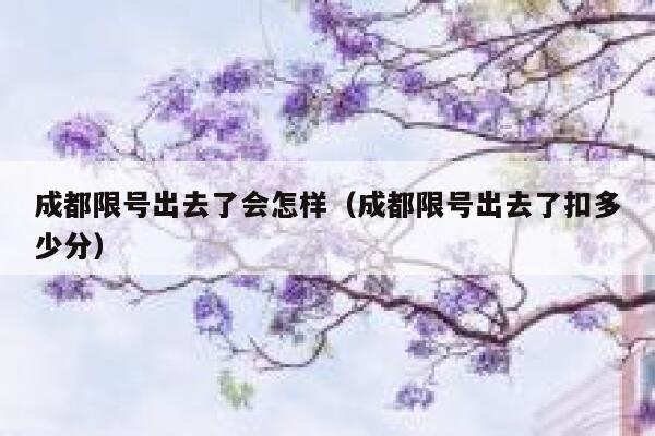 成都限号出去了会怎样(成都限号出去了扣多少分) 第1张 成都限号出去了会怎样(成都限号出去了扣多少分) 第1张