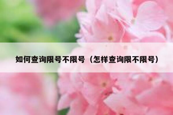 如何查询限号不限号(怎样查询限不限号) 第1张 如何查询限号不限号(怎样查询限不限号) 第1张