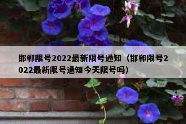 邯郸限号2022最新限号通知(邯郸限号2022最新限号通知今天限号吗) 第1张 邯郸限号2022最新限号通知(邯郸限号2022最新限号通知今天限号吗) 第1张