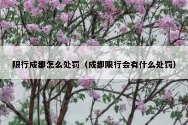 限行成都怎么处罚(成都限行会有什么处罚) 第1张 限行成都怎么处罚(成都限行会有什么处罚) 第1张