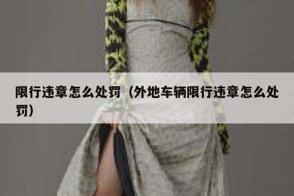限行违章怎么处罚(外地车辆限行违章怎么处罚) 第1张 限行违章怎么处罚(外地车辆限行违章怎么处罚) 第1张